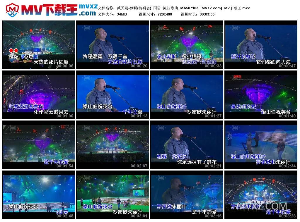 臧天朔-梦蝶(演唱会)_国语_流行歌曲_MA507103